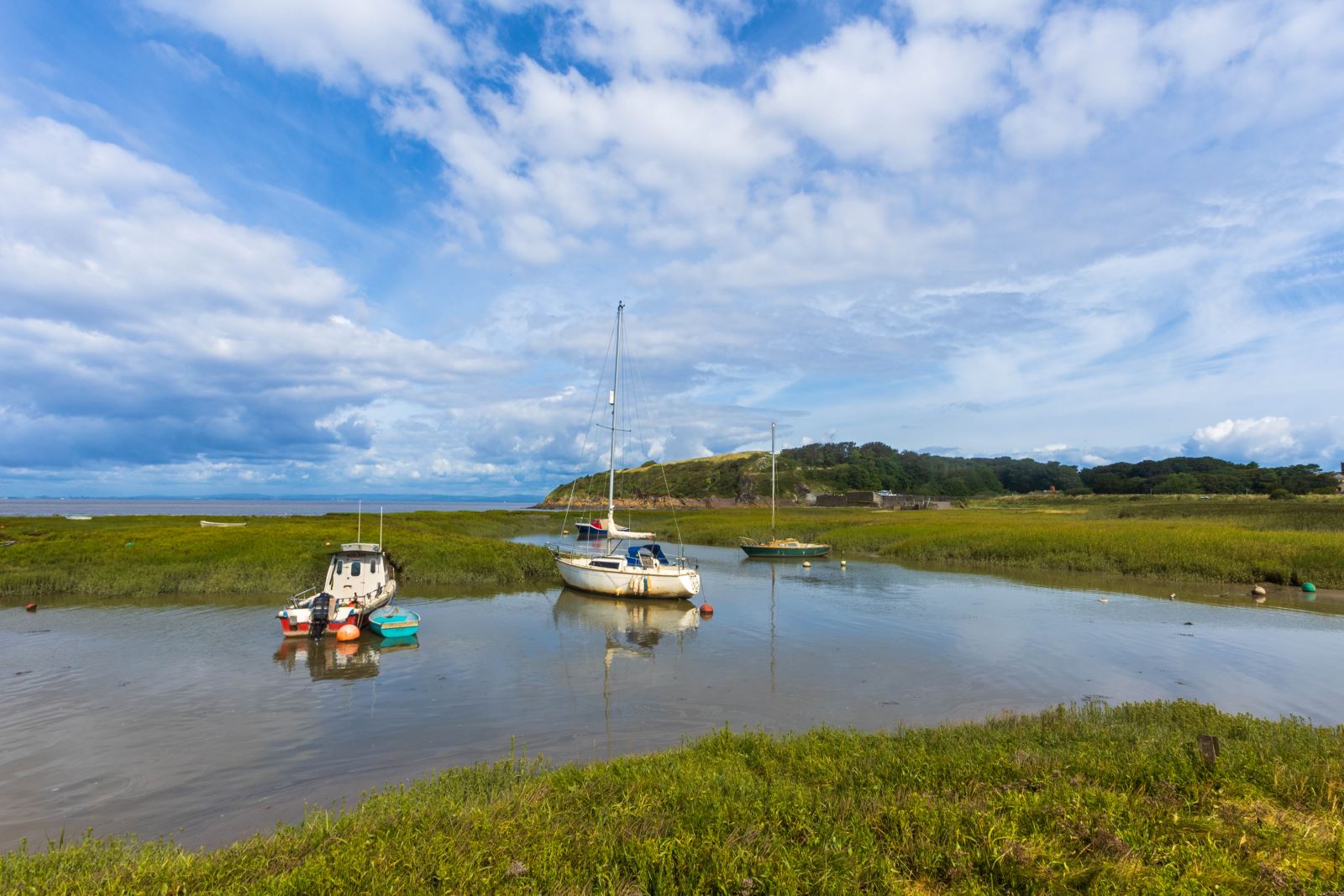 Boats moored in an inlet surrounded by reeds